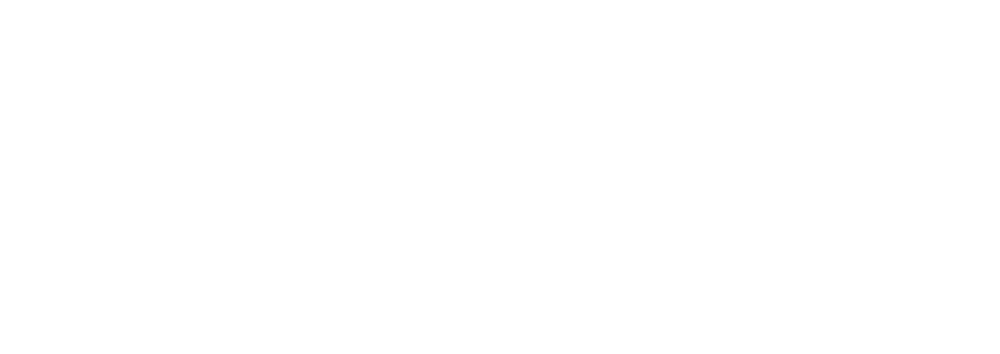 leftbrain_logo_white_large